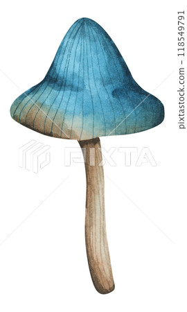 Forest mushrooms elements illustration watercolor style collection for Autumn design. 118549791