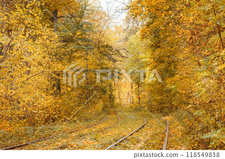 Rails, railway in yellow autumn deciduous forest. Fall landscape in park with tramway Rails, railway in yellow autumn deciduous forest. Fall landscape in park with tramway 118549838