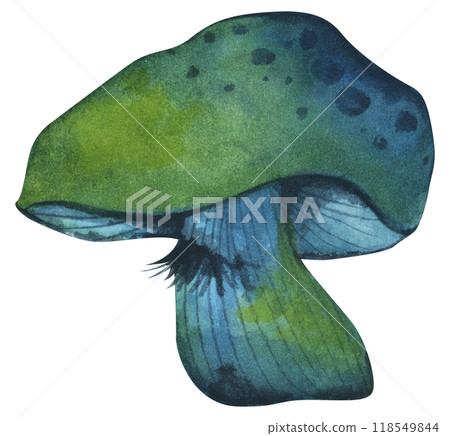 Forest mushrooms elements illustration watercolor style collection for Autumn design. 118549844