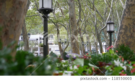 New York City, Manhattan Midtown Bryant Park with Public library, 42 street and Fifth 5 avenue, USA. 118550003