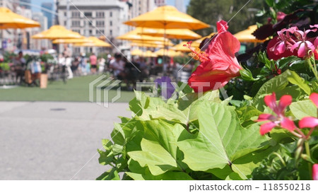 New York City Manhattan Broadway, 23 street, 5 avenue crossroad. Worth, Madison Square, Flatiron USA New York City Manhattan Broadway, 23 street, 5 avenue crossroad. Worth, Madison Square, Flatiron USA 118550218