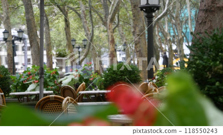 New York City, Manhattan Midtown Bryant Park with Public library, 42 street and Fifth 5 avenue, USA. 118550243