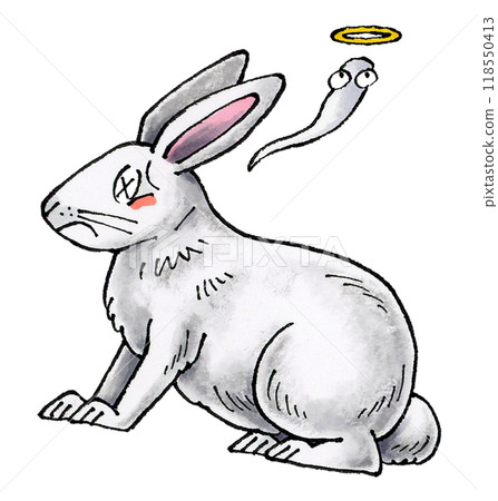 Dead white rabbit Dead white rabbit 118550413