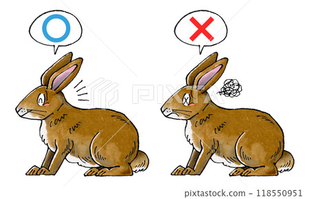 Judgment Brown Rabbit Set (True or False) 118550951
