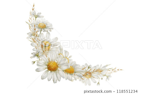 White chamomiles flowers,buds,dried flowers in corner frame as a symbol of purity, innocence, love, fidelity. Watercolor clipart on transparent background for product design, postcards, calendar 118551234