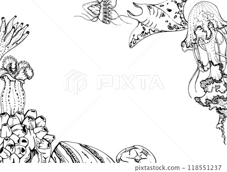 Marine life, sea ocean underwater creatures fish, shells algae seaweed, Ink and pen sketch hand drawn. Border frame illustration, stylized, isolated on white. For zoo shop, aquarium, cosmetics, resort 118551237
