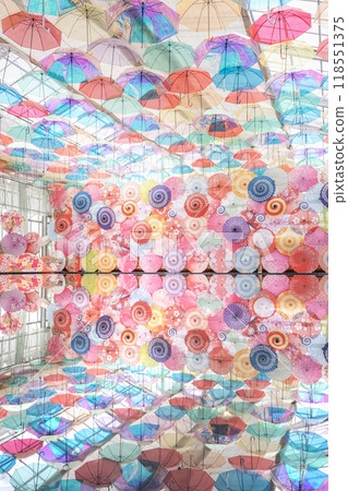 Inawashiro 香草園 傘 天空 倒影 對角線 118551375