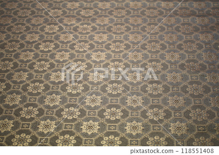 懸掛軸用表面絕緣子裂縫 118551408