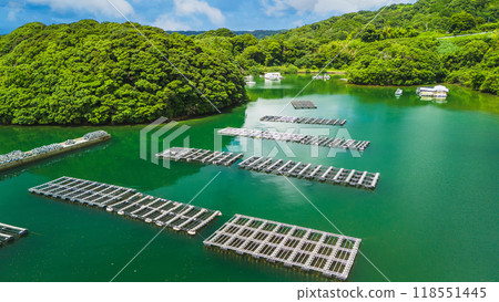 Oyster farm photographed by drone 118551445