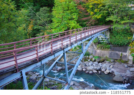 Hagoromo Pedestrian Bridge over the Chube River in Kamikawa District, Hokkaido 118551775