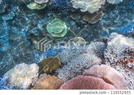 Okinawa Photo: Miyako Island Yaebisho Coral Reef 118552935