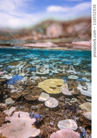Okinawa Photo: Image of the coral reef half surface of the water at Yabiji Seaside, Miyako Island 118552938