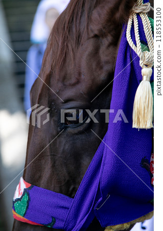 2024年_富津市東神社馬出祭年祭_65 118553100