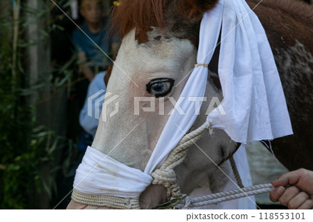 2024_Futtsu City Azuma Shrine Umadashi Festival Annual Festival_64 118553101