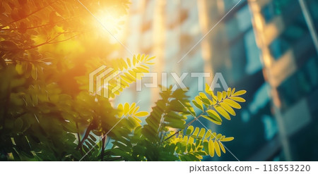 Sunlit leaves of a plant against a backdrop of tall buildings in an urban setting 118553220