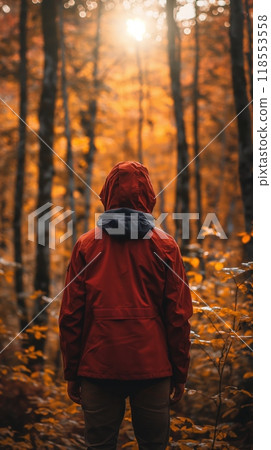 Person red jacket exploring sunlit autumn forest orange foliage back view horizontal 118553558