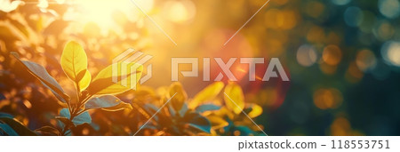 Fresh green leaves illuminated warm sunlight nature horizontal background copy space 118553751