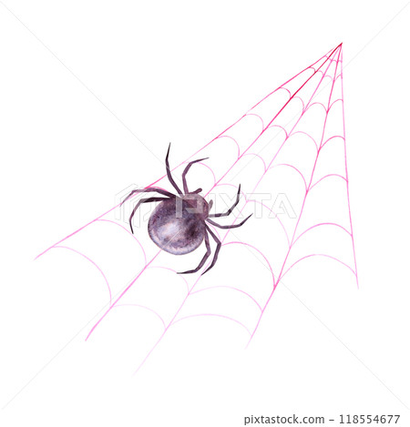 Black spider on web. Monochrome drawing of dangerous arthropod arachnid, insect. Watercolor hand drawn cutout isolated clipart for halloween, horror illustrations. Karakurt, black widow, Latrodectus 118554677