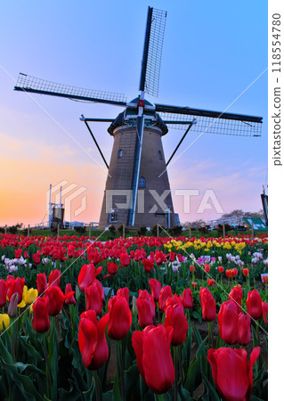 Windmills, tulips and sunset at Sakura Furusato Square, Chiba Prefecture Windmills, tulips and sunset at Sakura Furusato Square, Chiba Prefecture 118554780