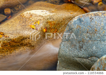 Autumn in Okutsukei: Fallen leaves clinging to rocks 2, Kagamino-cho, Tomata-gun, Okayama Prefecture Autumn in Okutsukei: Fallen leaves clinging to rocks 2, Kagamino-cho, Tomata-gun, Okayama Prefecture 118554866