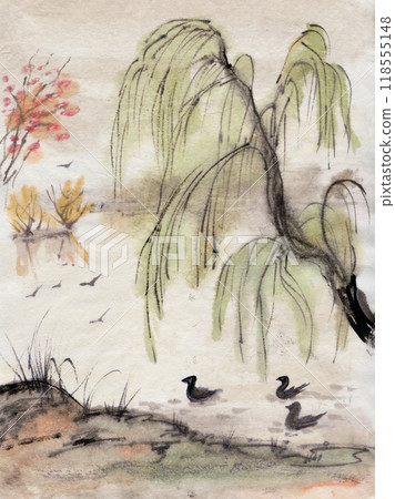 Ducks by the river bank with a tall willow tree 118555148