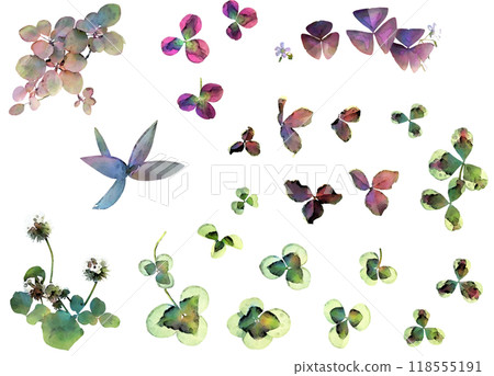 裝飾植物插畫素材組10（三葉草等） 118555191