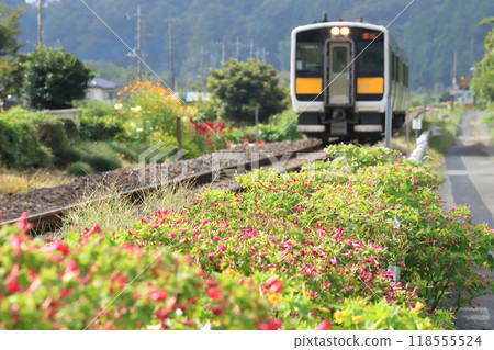Suigun Line "Train and scenery along the tracks with morning glory blooming" 118555524