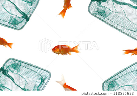 Left alone 118555658