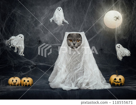 Halloween cat. Funny cat in a ghost costume on dark background with cobwebs, moon and jack lantern pumpkins. Horror poster. 118555671