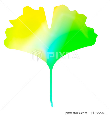 Ginkgo biloba 118555800