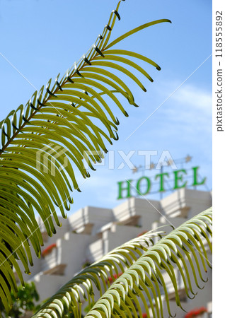 Palm and hotel Palm and hotel 118555892