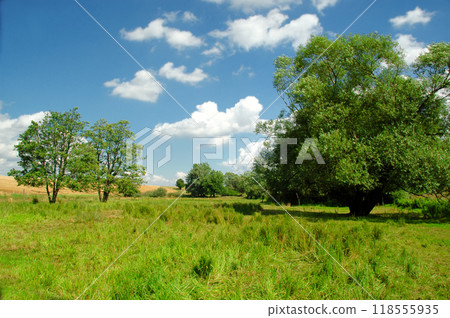 Idyllic landscape 118555935