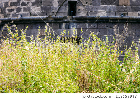 green grass on hill and wall of black fortress green grass on hill and wall of black fortress 118555988