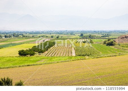 fields at Ararat Plain in Armenia and mountains 118555994