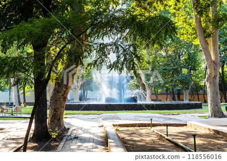 alley with water fountain in public English Park alley with water fountain in public English Park 118556016
