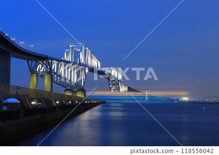 Tokyo Gate Bridge (Wakasu Park) Tokyo Gate Bridge (Wakasu Park) 118556042