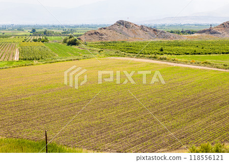 view of fields at Ararat Plain, Armenia in summer view of fields at Ararat Plain, Armenia in summer 118556121