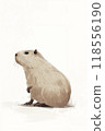 Cute capybara illustration. kawaii animal. Flat cartoon style. 118556190