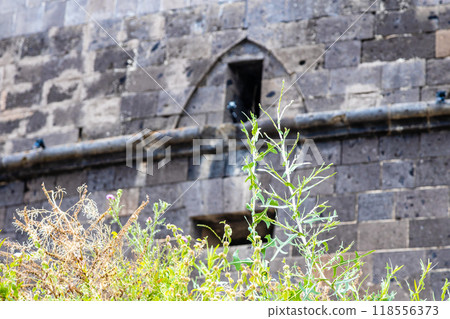green grass stalk and wall of black fortress green grass stalk and wall of black fortress 118556373