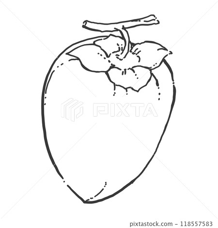 Persimmon pen drawing cartoon 118557583