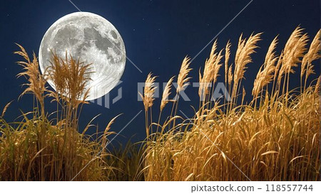 Monday and Susuki 118557744