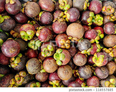 Mangosteen fruit  close-up of a group of mangosteens. 118557885