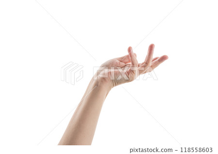 Empty mid aged woman hand to hold or show isolated on white Empty mid aged woman hand to hold or show isolated on white 118558603