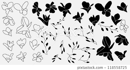 Chic black and white floral patterns with various flowers and leaves in a detailed, seamless design Chic black and white floral patterns with various flowers and leaves in a detailed, seamless design 118558725