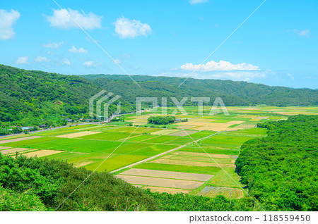 鹿兒島種子島風光 鹿兒島種子島風光 118559450