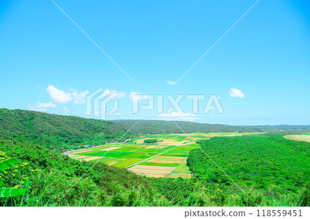 鹿兒島種子島風光 118559451