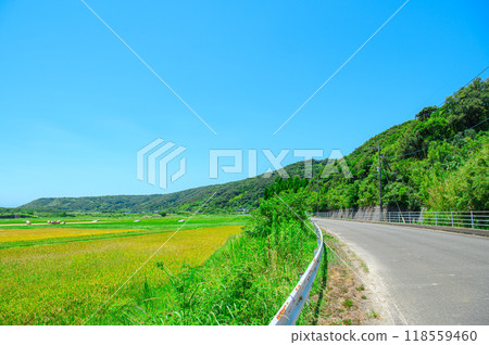 Scenery of Tanegashima, Kagoshima Scenery of Tanegashima, Kagoshima 118559460