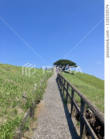 藍天和白色路 118559574