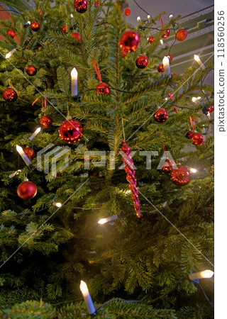 Christmas ornaments hanging on a Christmas tree 118560256