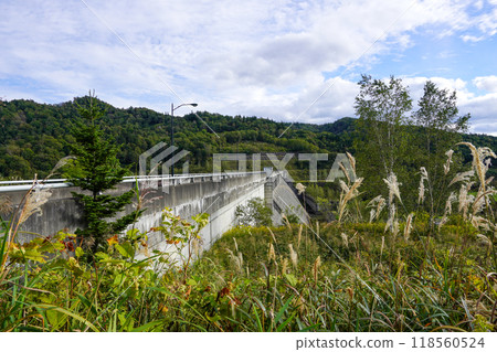 Kodaira Dam / Gravity Type Concrete Dam 118560524